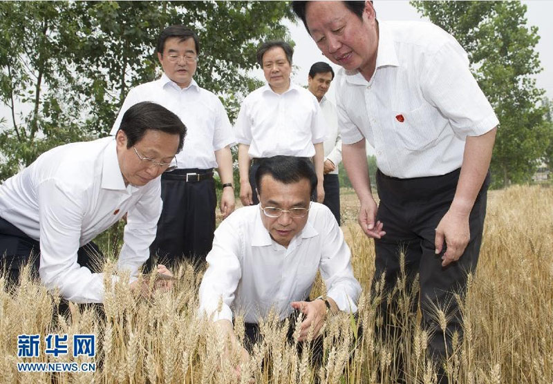 6月7日至8日，中共中央政治局常委、國務院總理李克強到河北邯鄲、邢台、石家庄考察。 這是6月7日，李克強在邯鄲縣裴堡東村查看小麥收成。新華社記者黃敬文攝