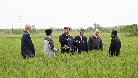 田间地头话发展，习近平一以贯之的调研方法5月11日上午，习近平总书记来到河北省沧州市，考察了黄骅市旧城镇仙庄片区旱碱地麦田，了解盐碱地整治、旱碱麦种植推广及产业化情况。党的十八大以来，习近平经常深入田间地头，看长势、问收成、察民情。在田间地头学知识、察实情，是他一以贯之坚持的调研方法。