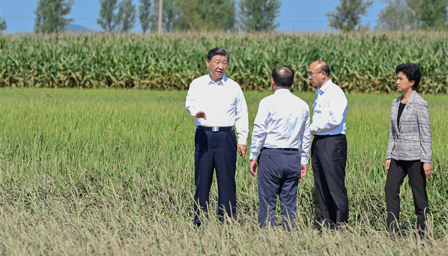 关注农业高质量发展习近平黑龙江之行心系“大国粮仓”黑土地、北大仓。全国每9碗饭，就有1碗产自黑龙江。要让“中国碗”装满“中国粮”。看田地、察民情、问灾情、谈振兴，总书记始终心系人民，“时时放心不下”。