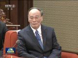 王岐山會見柬埔寨副首相